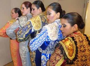 www.flamencoclasses.com